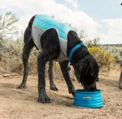 Ruffwear™ Jet Stream Dog Cooling Vest - Blue Lagoon -Island Beach Gear bf6d4c0780499c13c2f596728000c614 48924.1669758529